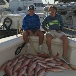 Meet your Posher, Harrison